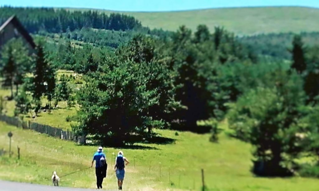 Walking with Peter, the personal journey-companion in Mont Lozere, France